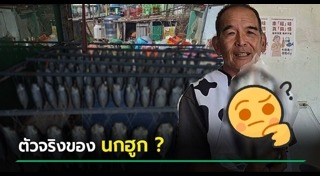 ภาพลวงตา