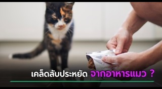 นักศึกษา