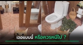 สัมภาษณ์งาน