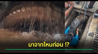 ยางรถยนต์