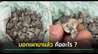 เรื่องแปลกไทย