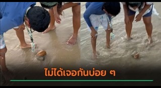 สัตว์แปลก