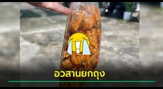 แมลงสาบ