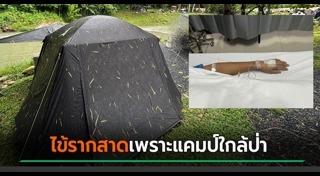 ตั้งแคมป์