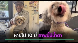 สุนัขหาย