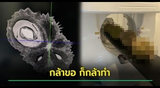 เรื่องแปลกไทย