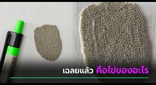 เรื่องแปลกไทย