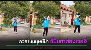 มนุษย์ป้า