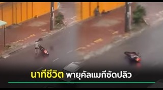 พายุไต้ฝุ่น