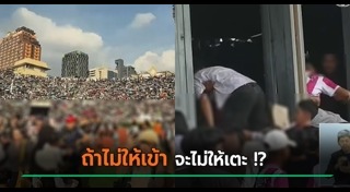 หมอนทองวิทยา