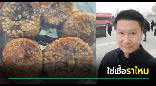 เจษฎา เด่นดวงบริพันธ์