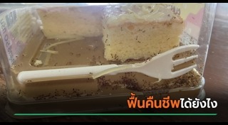 เรื่องน่ารู้