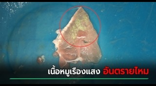 เนื้อหมู