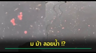 น้ำท่วมไทย