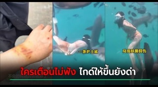 ฉลามกัดคน