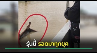 น้ำท่วมภาคใต้