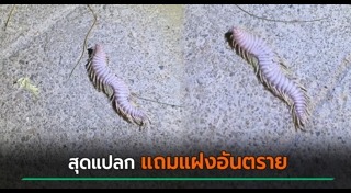 สัตว์มีพิษ