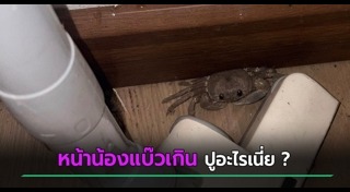 ปู