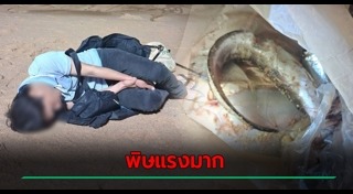 ข่าวฮิตสังคมออนไลน์