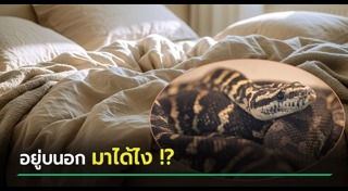 ข่าวต่างประเทศ