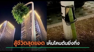 เรื่องแปลกจีน