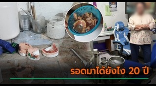 ข่าวปัญหาสังคม