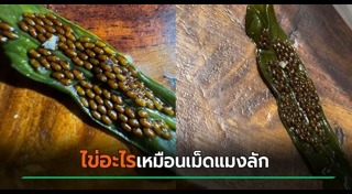 ก๋วยเตี๋ยว