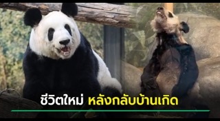 สวนสัตว์