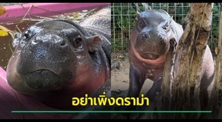 สวนสัตว์