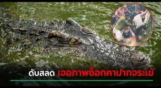 จระเข้