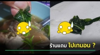 สิ่งแปลกปลอมในอาหาร