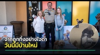 สุนัขถูกทิ้ง