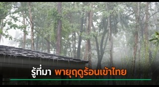 พายุฤดูร้อน