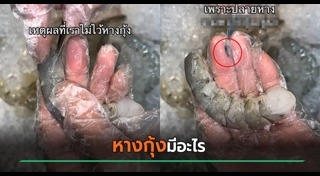 กุ้งแช่น้ำปลา