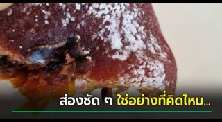 ข่าวฮิตสังคมออนไลน์