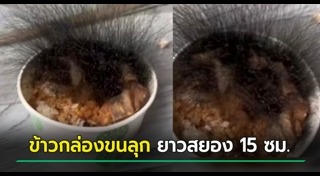 เรื่องแปลกจีน