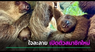 สวนสัตว์เปิดเขาเขียว