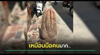 เรื่องแปลกจีน