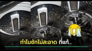 ตุ๊กแก