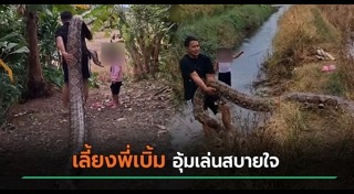 งูยักษ์