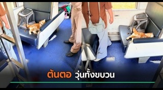 สัตว์ทำร้ายคน