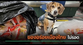 สุนัขตํารวจ