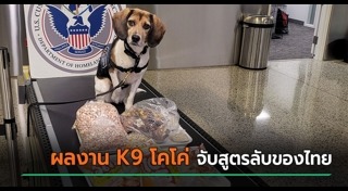 สุนัขตํารวจ