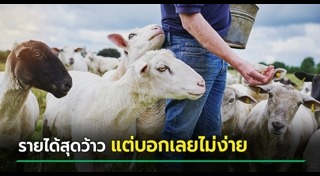 เลี้ยงสัตว์