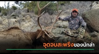 ล่าสัตว์