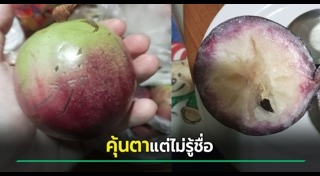 ผลไม้