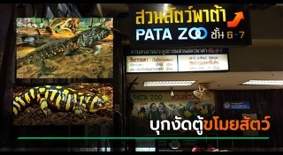 สัตว์เลื้อยคลาน