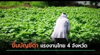 แรงงานไทย
