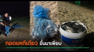 ปลาหมอคางดำ