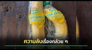 กล้วยหอม